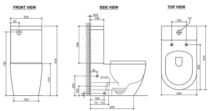 Deluso Rimless Toilet