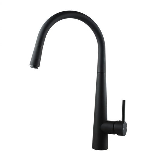 Aquaperla Pentro Round Pull Out Kitchen Sink Mixer Tap